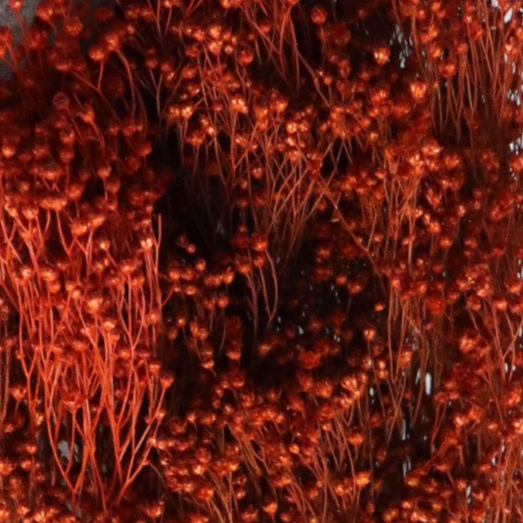 Sušený Broom Bloom hnědý – přírodní sušená květina vhodná do rustikálních dekorací